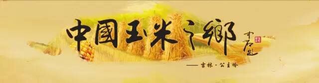 1578442720618366.jpg 5.jpg